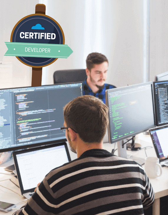 Types of Salesforce Developer for Hire
